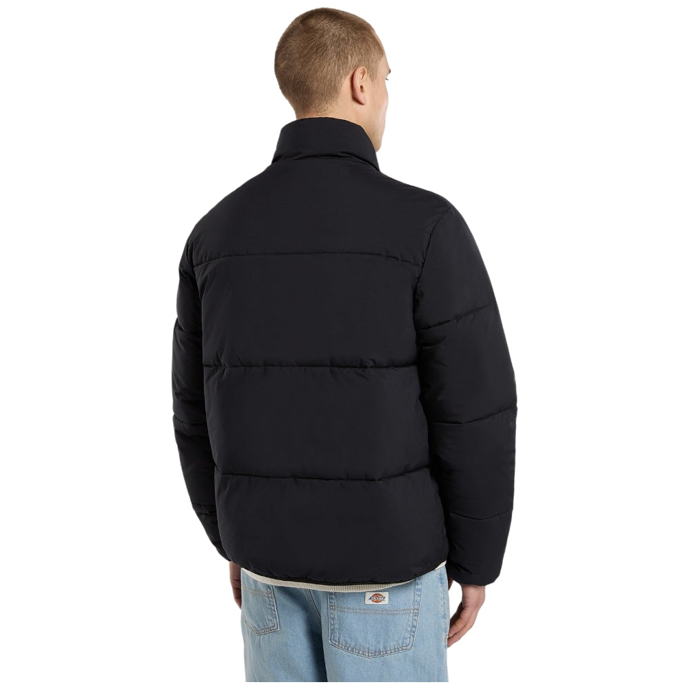 Dickies piumino puffer nero Summerdale DK0A87OGBLK Giubbini Dickies