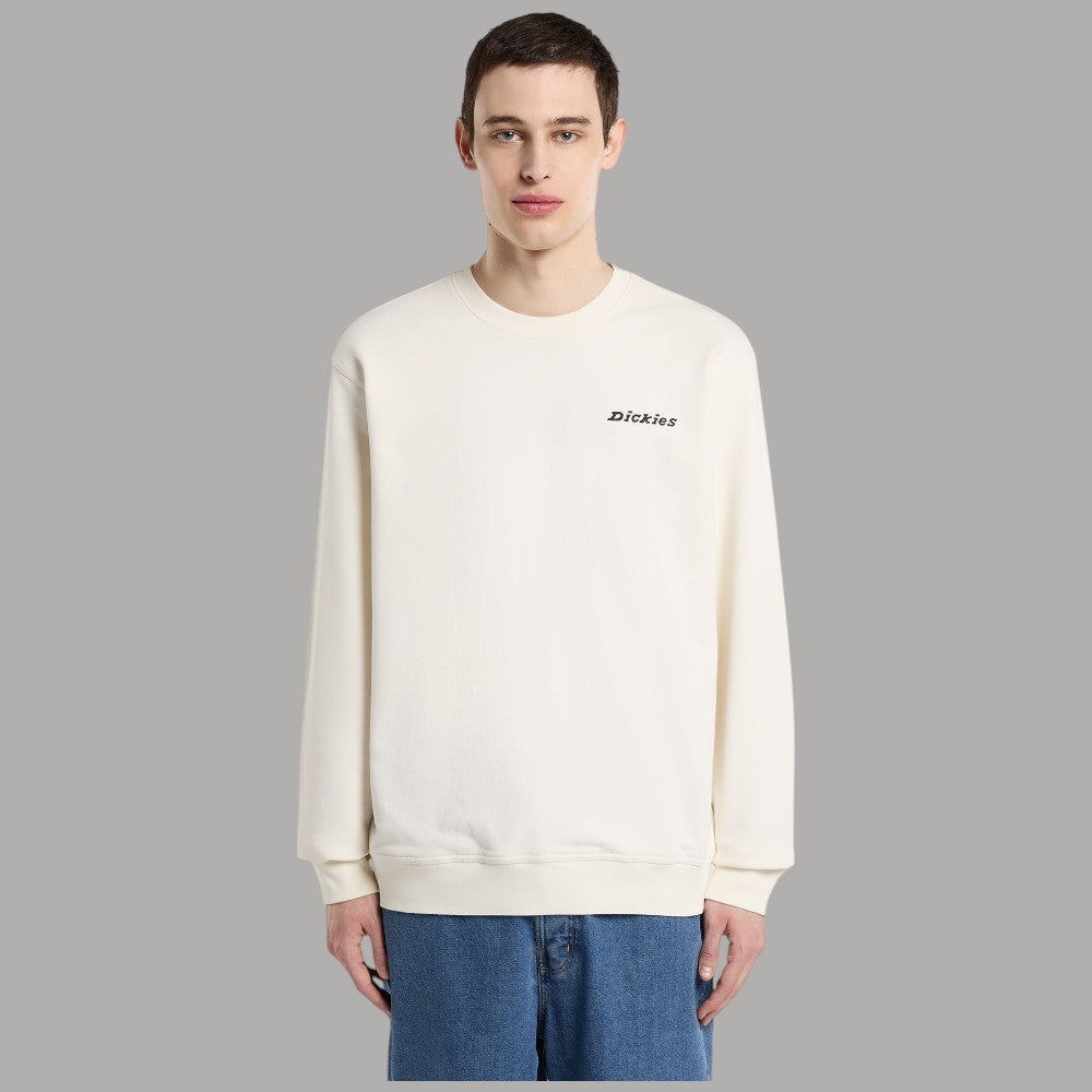 Dickies felpa relaxed fit LORETTO DK0A88OC - Prodotti di Classe