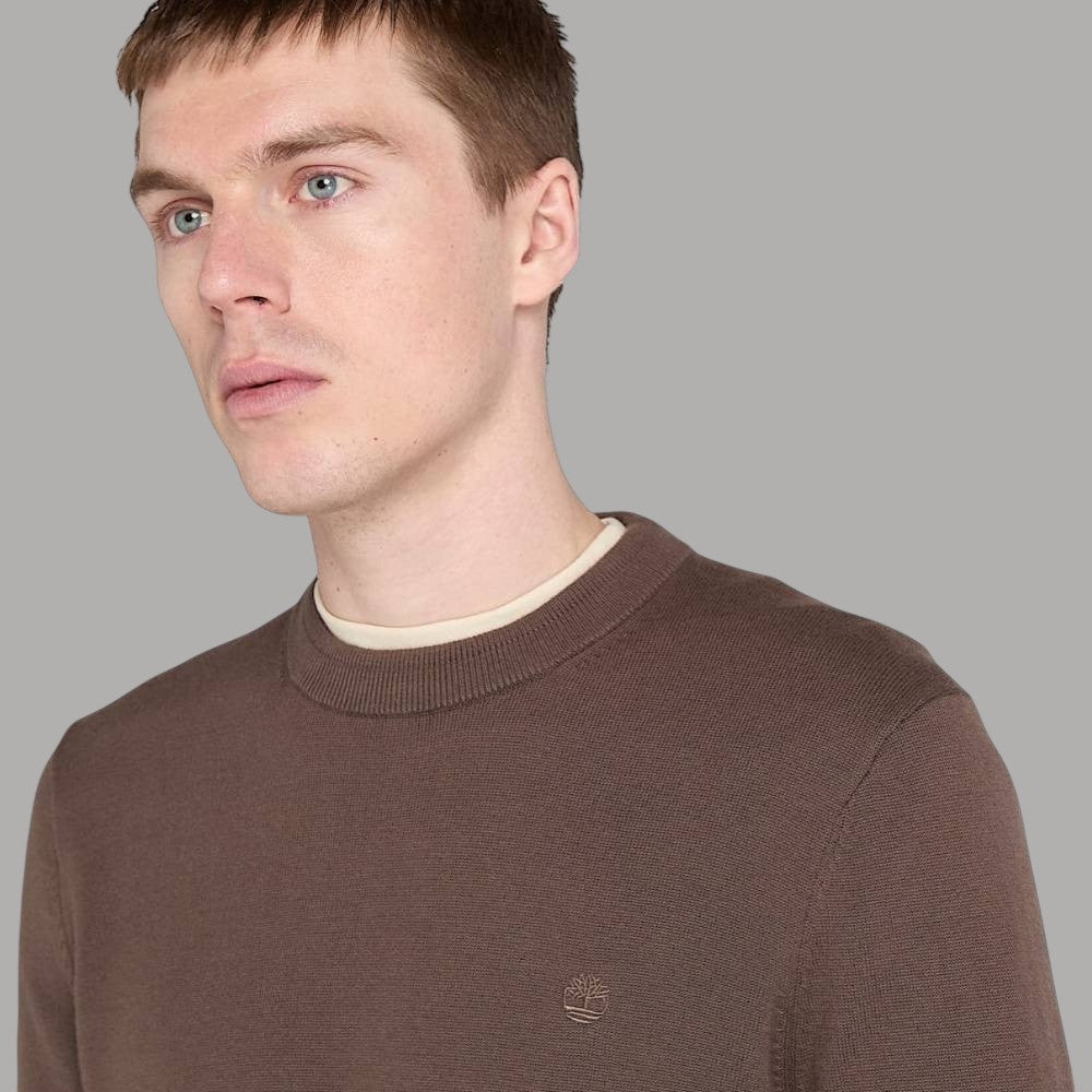 Maglia uomo in cotone marrone scuro, dettaglio logo sul petto e girocollo