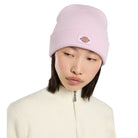Dickies cappelo baine rosa Gibsland unisex DK0A4X7KK73 Cappelli Dickies