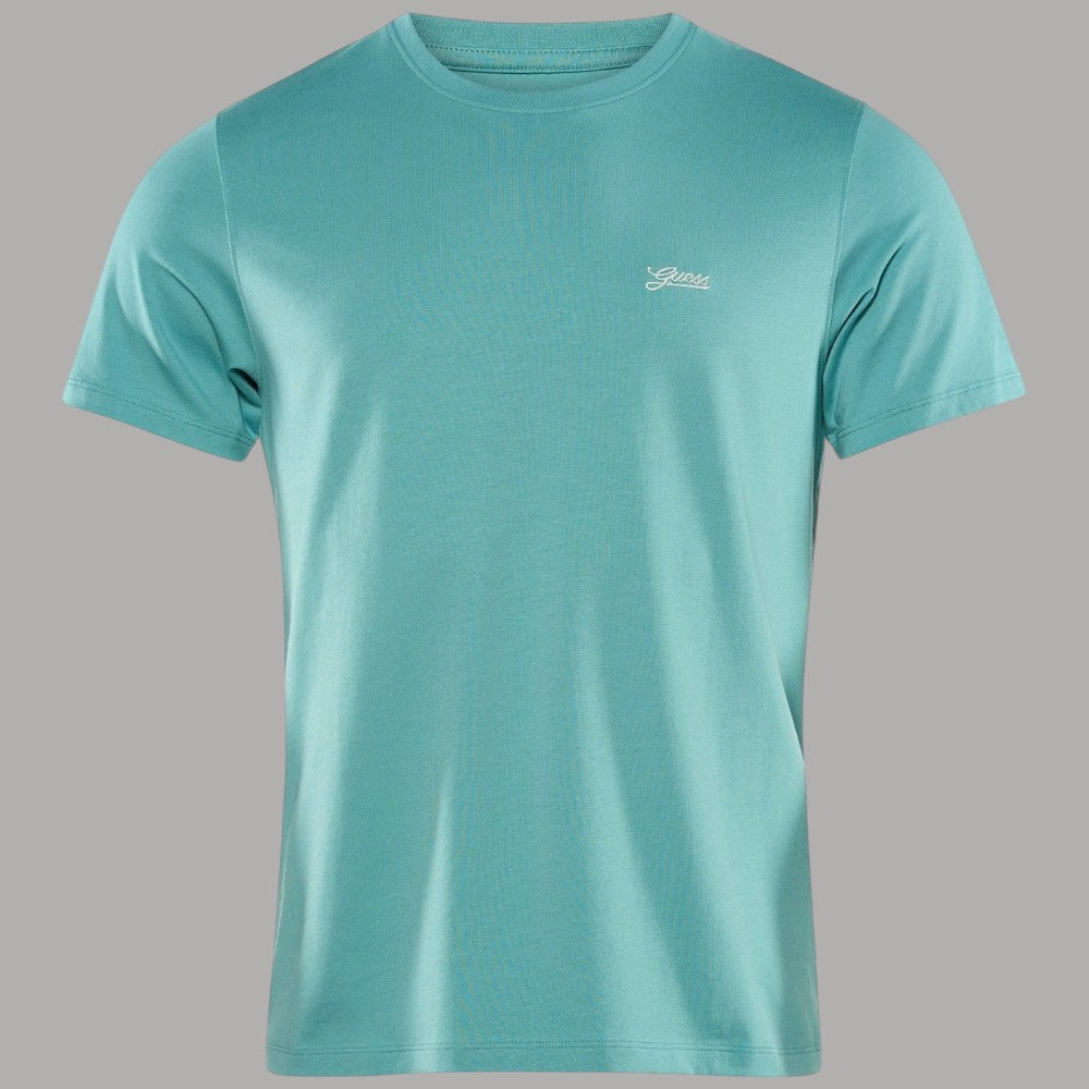 T-shirt verde acquamarina con logo piccolo sul petto, girocollo a maniche corte