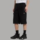 Dickies bermuda cargo EAGLE BEND DK0A89EF - Prodotti di Classe
