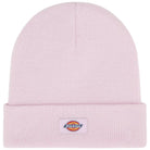 Dickies cappelo baine rosa Gibsland unisex DK0A4X7KK73 Cappelli Dickies