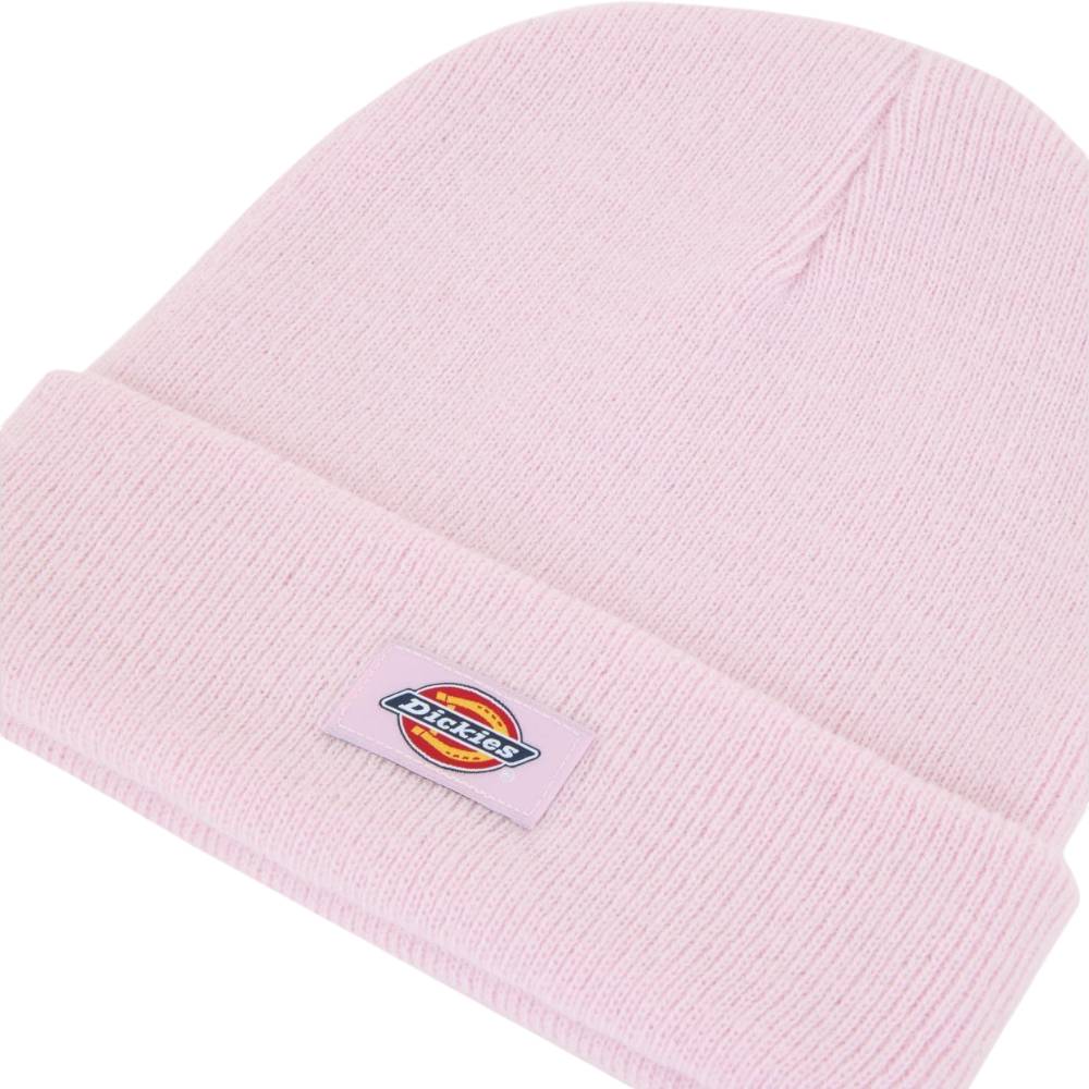 Dickies cappelo baine rosa Gibsland unisex DK0A4X7KK73 Cappelli Dickies