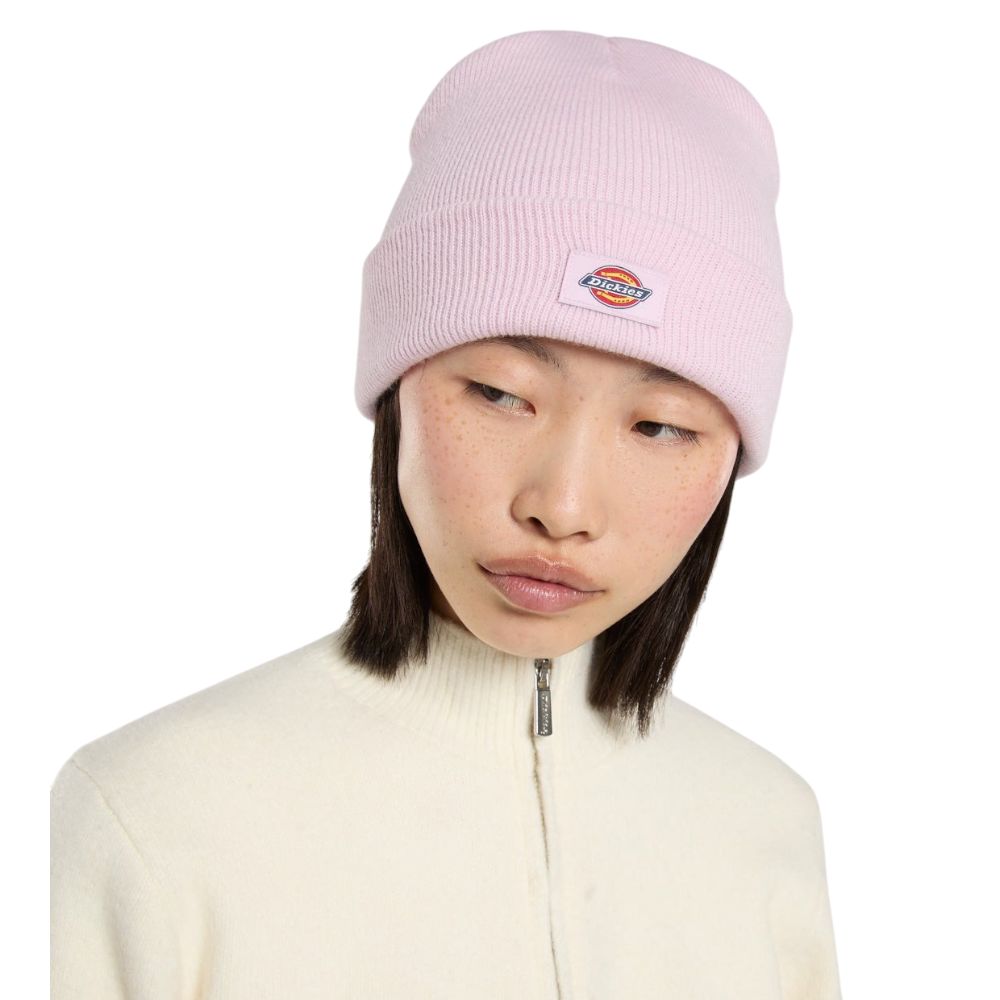 Dickies cappelo baine rosa Gibsland unisex DK0A4X7KK73 Cappelli Dickies