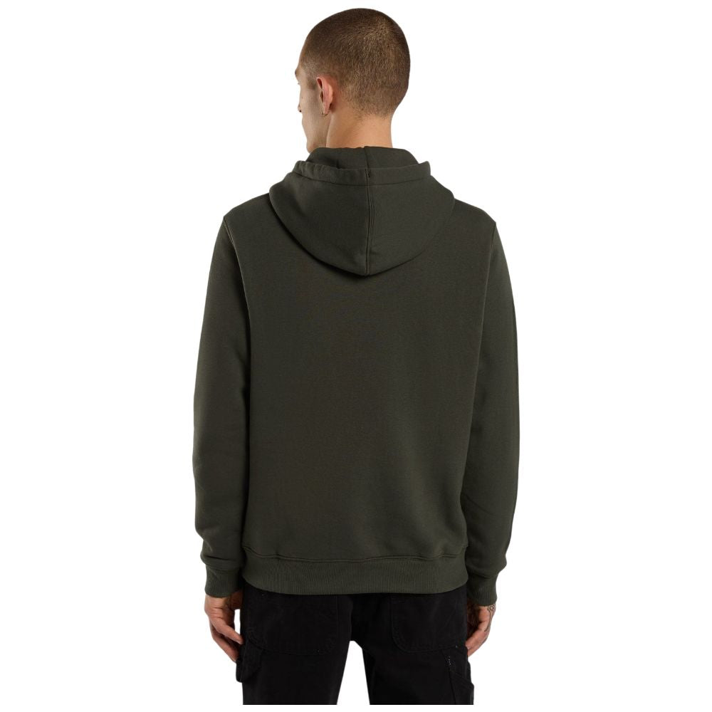 Dickies felpa verde oliva con cappuccio OAKPORT DK0A4XCDOGX1 Felpe Dickies