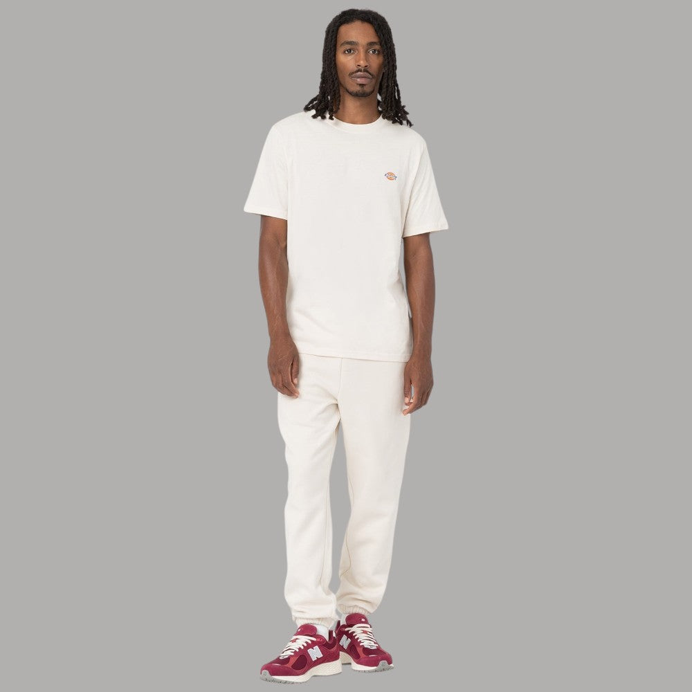 T-shirt Dickies Mapleton Cotone Traspirante Logo Iconico - Prodotti di Classe