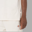 T-shirt Dickies Mapleton Cotone Traspirante Logo Iconico - Prodotti di Classe