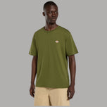 T-shirt in cotone verde Dickies con logo sul petto, regular fit