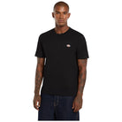 Dickies t-shirt nera MAPLETON DK0A4XDBBLK1 T-shirt Dickies
