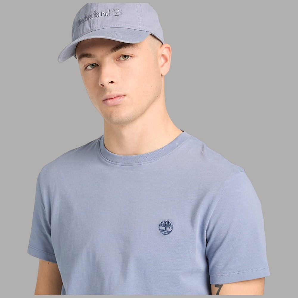 T-shirt uomo azzurro chiaro in cotone slim con logo ricamato sul petto, primo piano