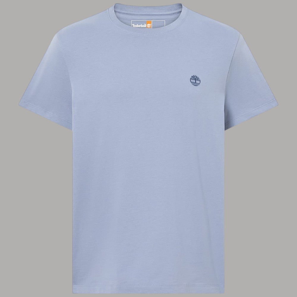 T-shirt uomo azzurro chiaro in cotone slim con logo ricamato sul petto, dettaglio collo