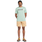 Timberland t-shirt verde acqua logo lineare TB0A5UPQEW0 T-shirt Timberland
