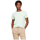Tommy Hilfiger t-shirt verde chiaro logo piccolo MW0MW10800 T-shirt Tommy Hilfiger