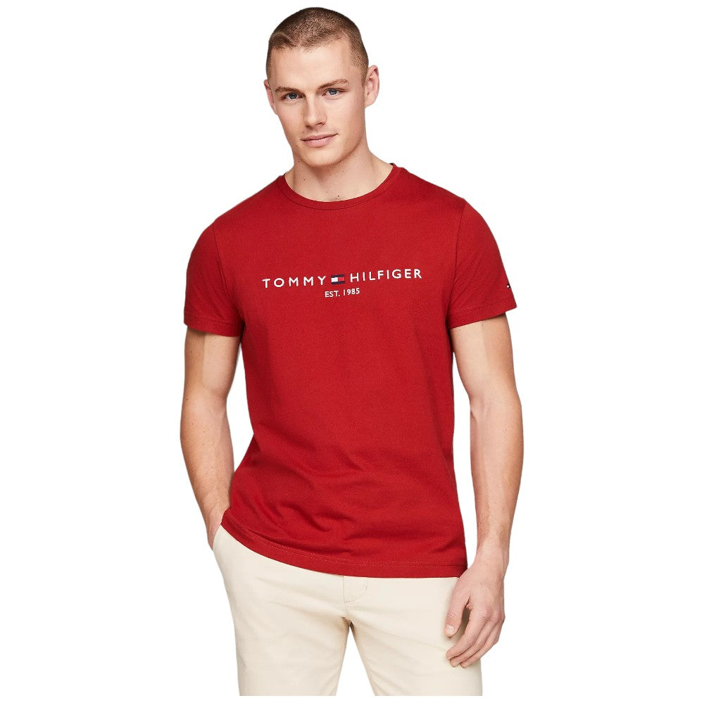 Tommy Hilfiger t-shirt dark magma logo ricamato MW0MW11797 - Prodotti di Classe